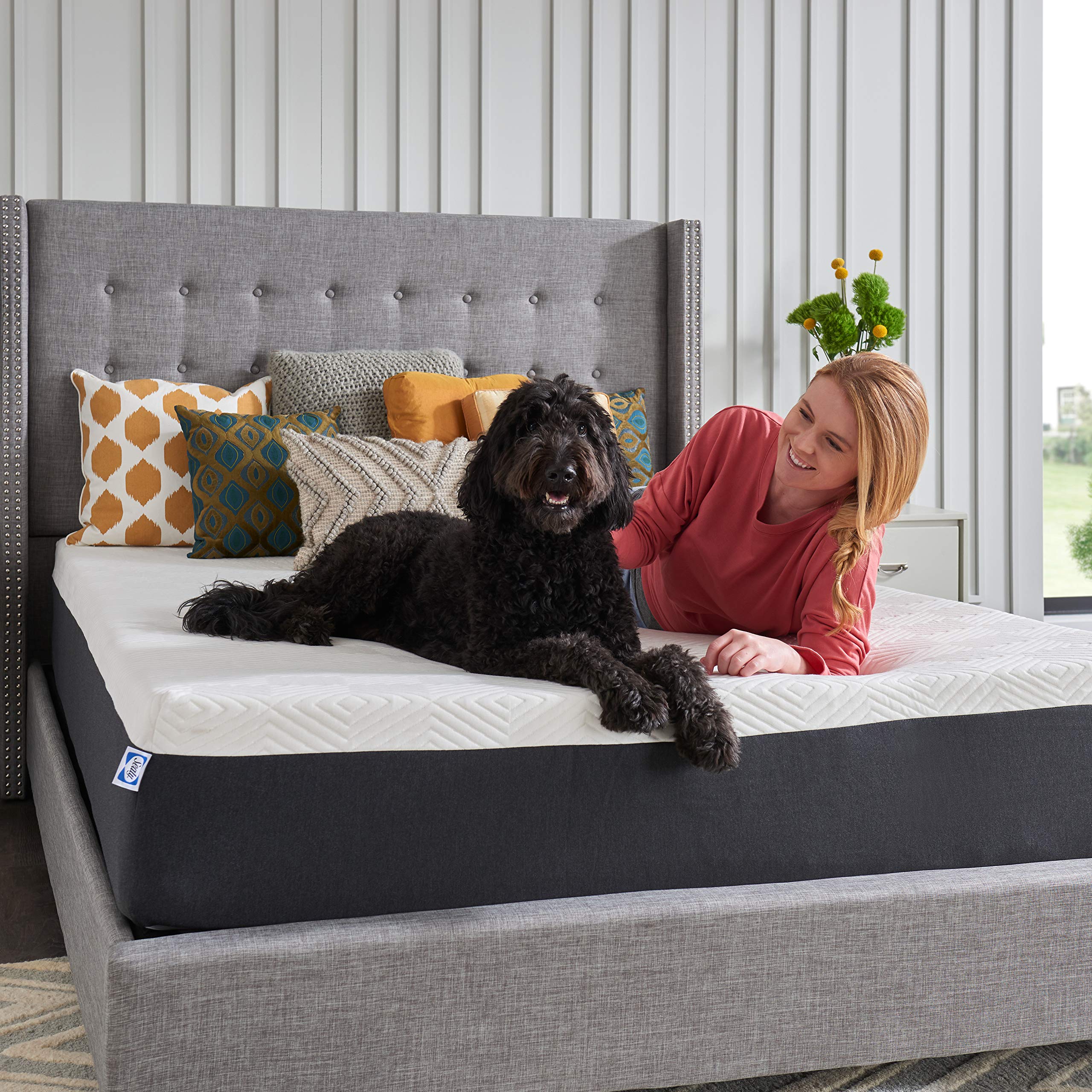 Sealy 12" Memory Foam Bed in a Box, Queen - Image 3