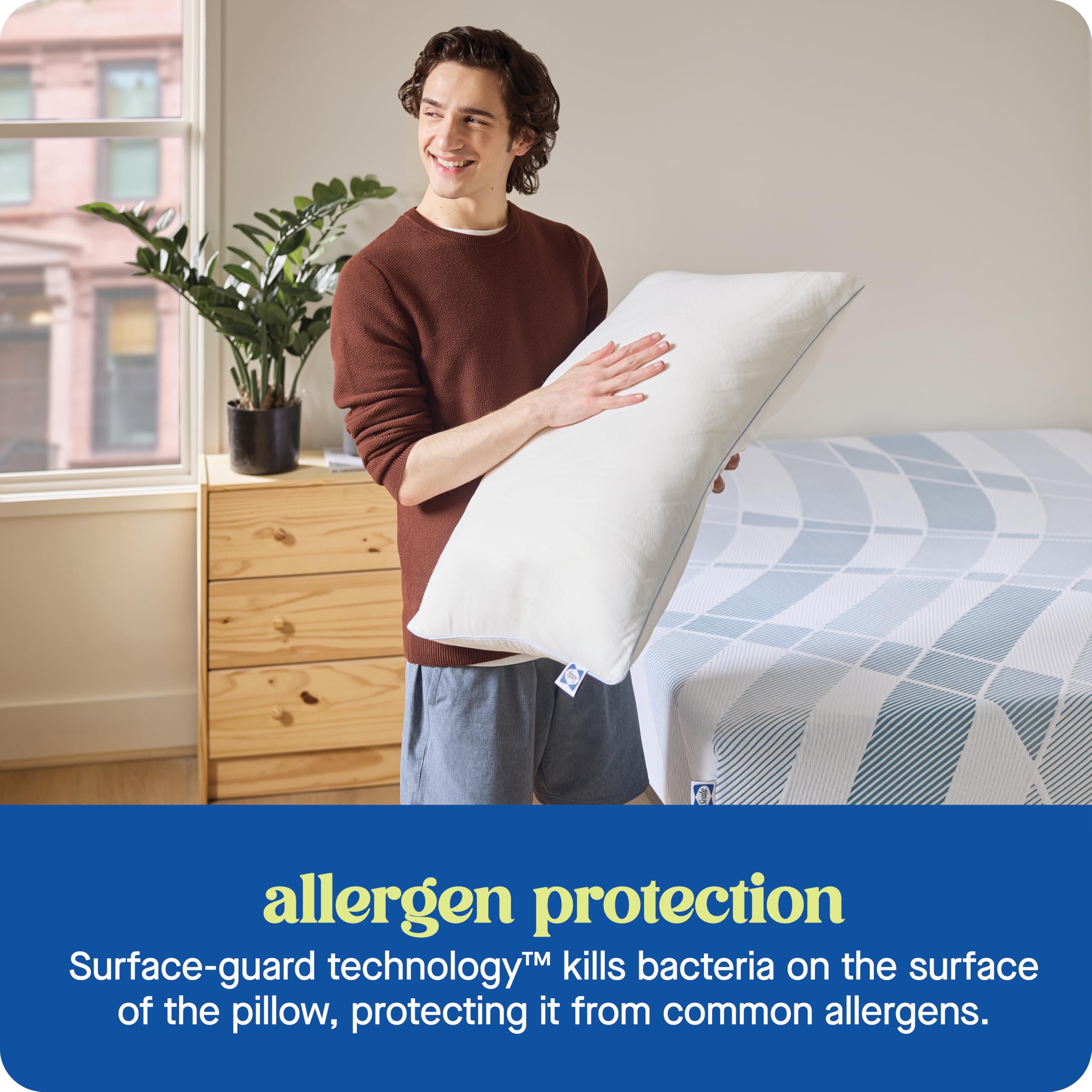 Sealy Dreamlife Queen Size Shredded Foam Pillow with Surface Guard Technology, Removable Machine-Washable Cover, 1 Year Limited Warranty, White - Image 7