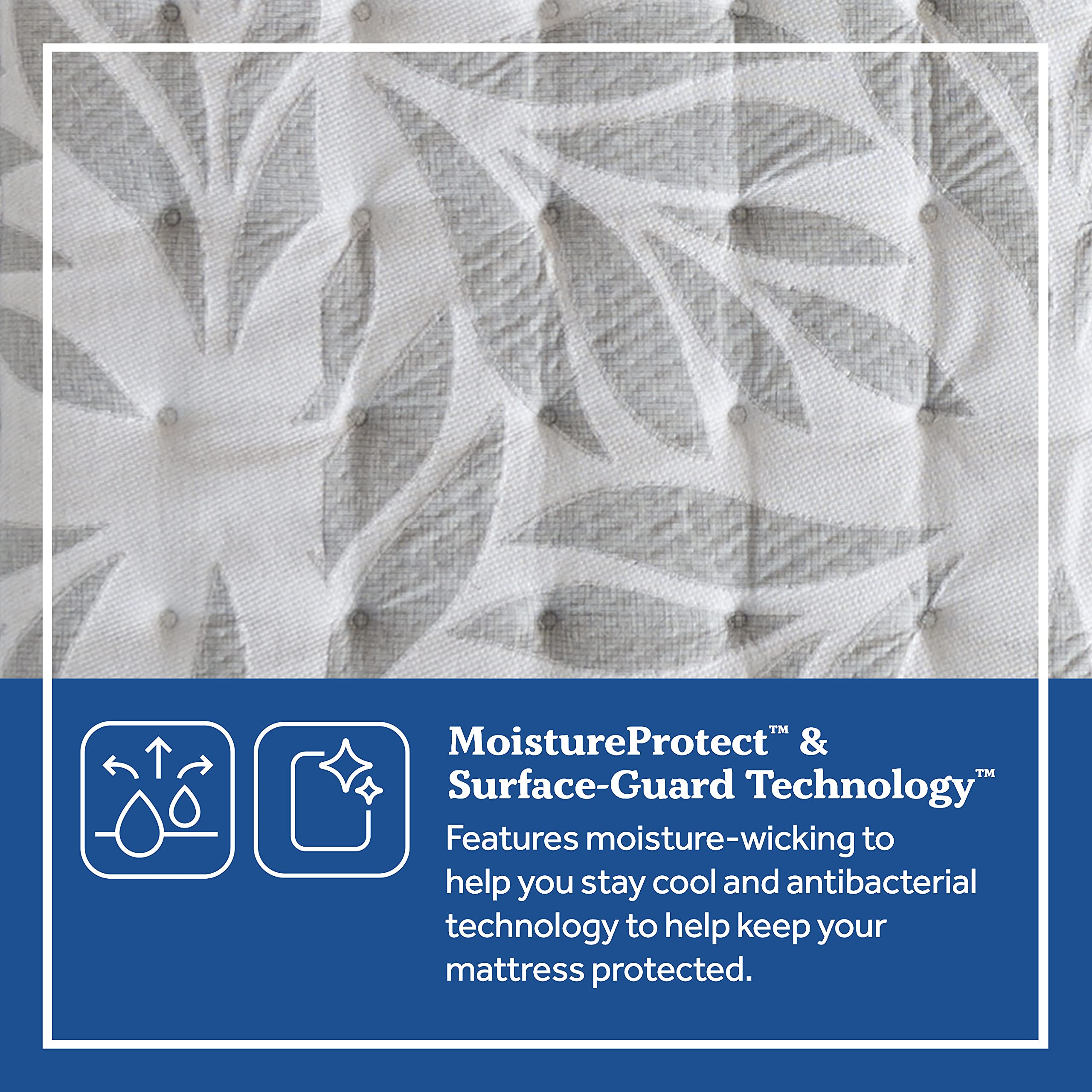 Sealy Posturepedic Spring Silver Pine Ultra Firm Feel Mattress and 9-Inch Foundation, Queen - Image 6